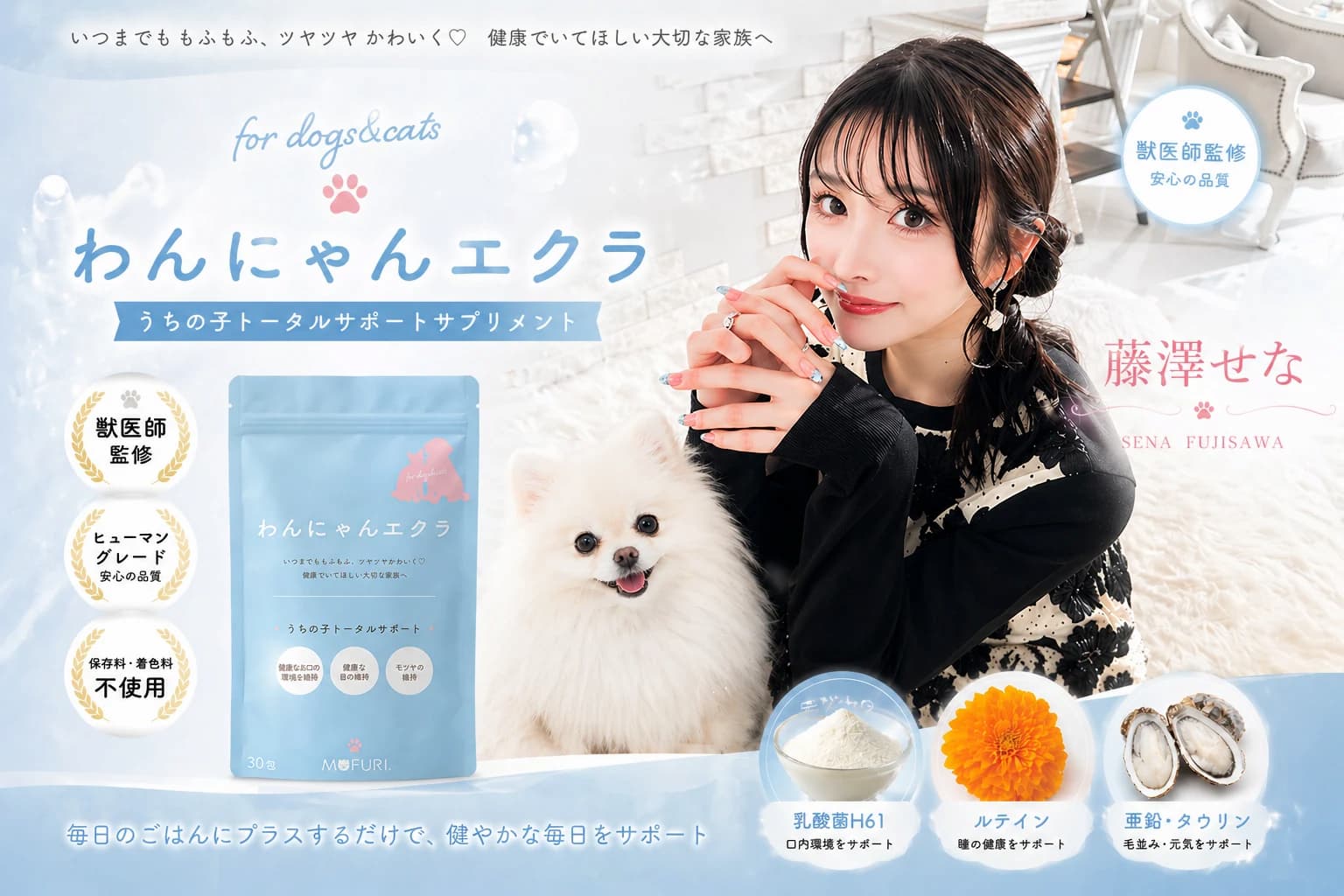 わんにゃんエクラ メインビジュアル